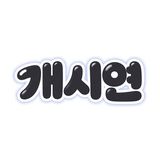 개시연 프로필