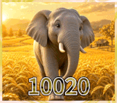 10,020 하트