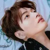 🐯초신성제🥕