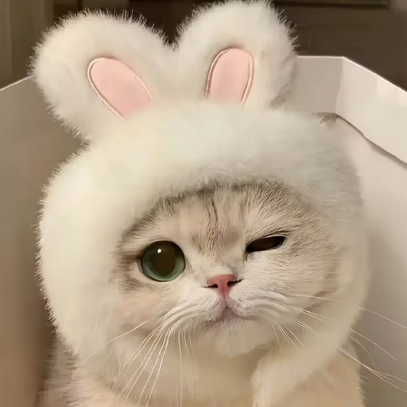 루비레이블
